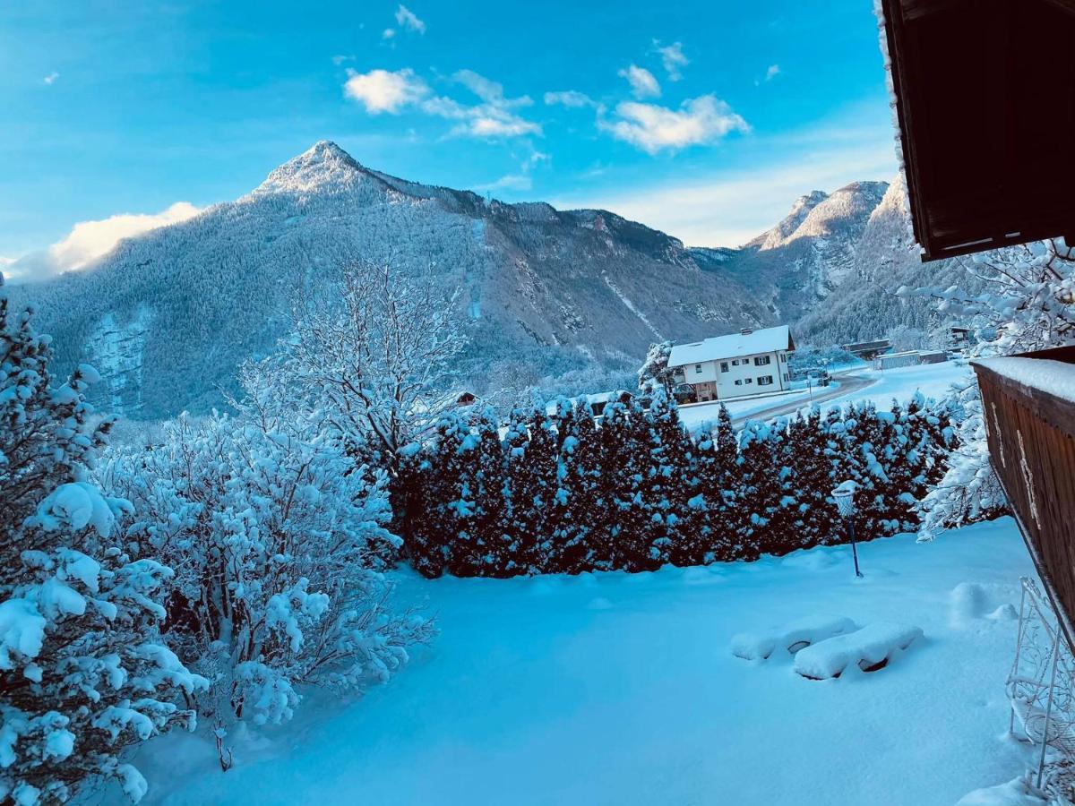 Forest Chalet Retreat: Mountain Views, Sauna & Garden Oasis Golling an der Salzach Exterior photo