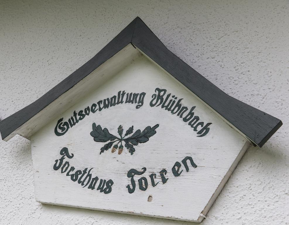 Forest Chalet Retreat: Mountain Views, Sauna & Garden Oasis Golling an der Salzach Exterior photo